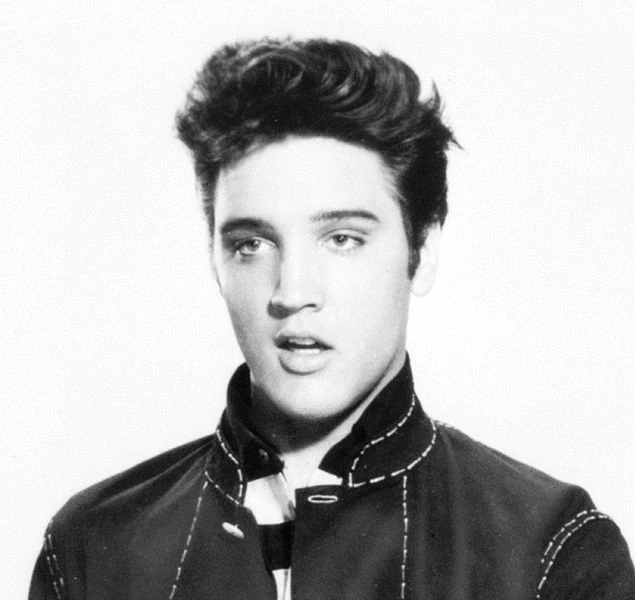 Young Elvis Presley, Matt LeBlanc, ri roofing, roofing ri, vinyl siding rhode island, rhode island contractor, vinyl siding installer, rhode island vinyl siding company, vinyl siding contractor, roofing contractor rhode island, carpentry rhode island, roofer johnston ri, addition builder ri, general contractor ri, general contractor rhode island, rhode island construction, warranty roof replacement, owens corning sand castle, trudefinition, duration, plumber, actor, carpenter, Electrician